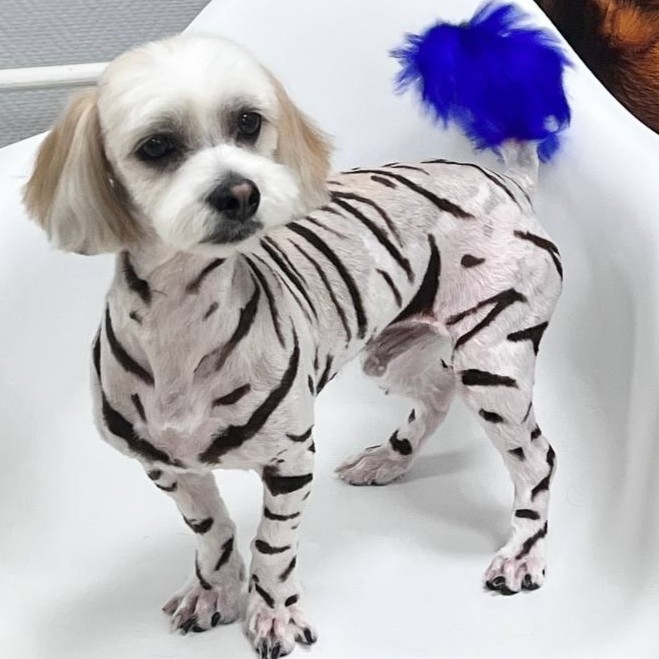 Окрашивание