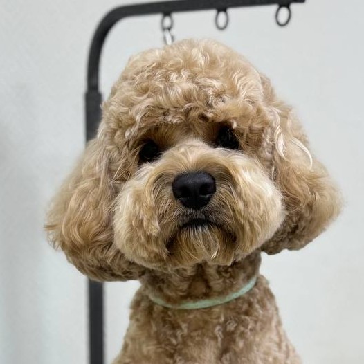 Открытие зоны глаз (бритье)