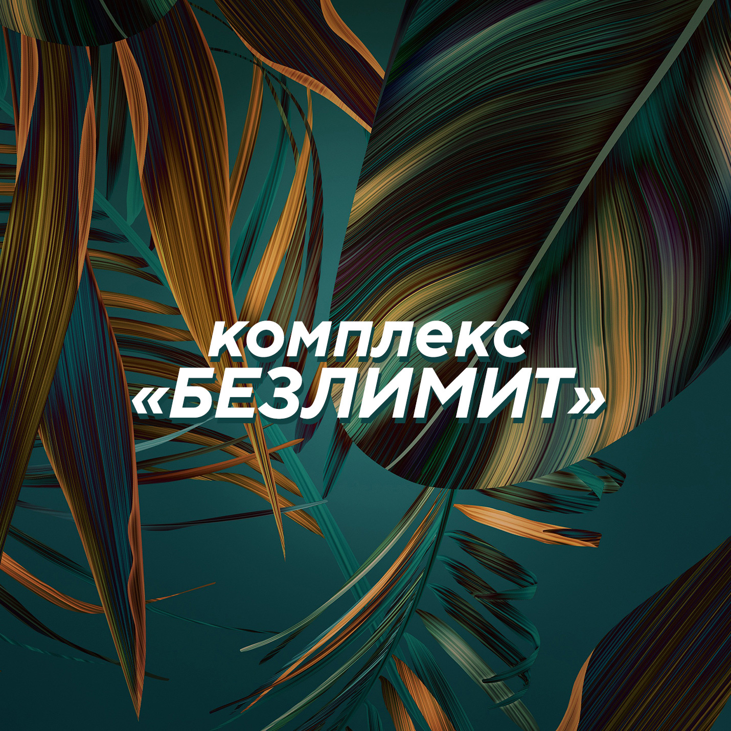 * Комплекс «Безлимит» (любые 6 зон на выбор)