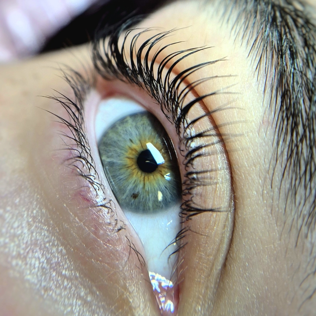 Комплекс "M"