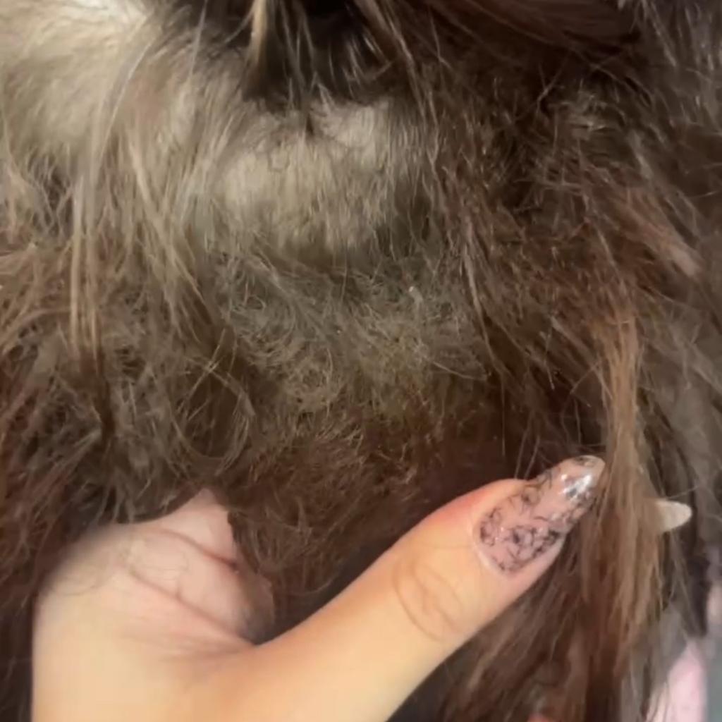 Распутывание колтунов