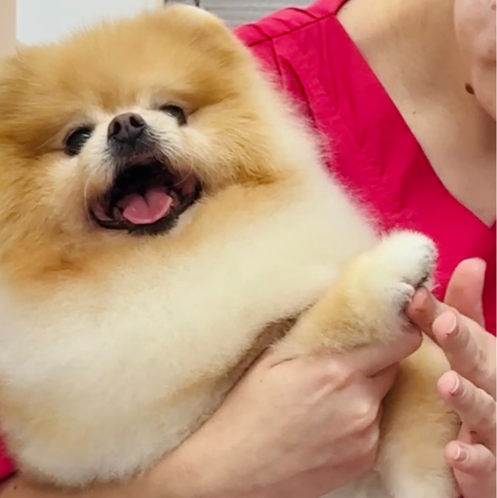 Комплекс "мягкие лапки"