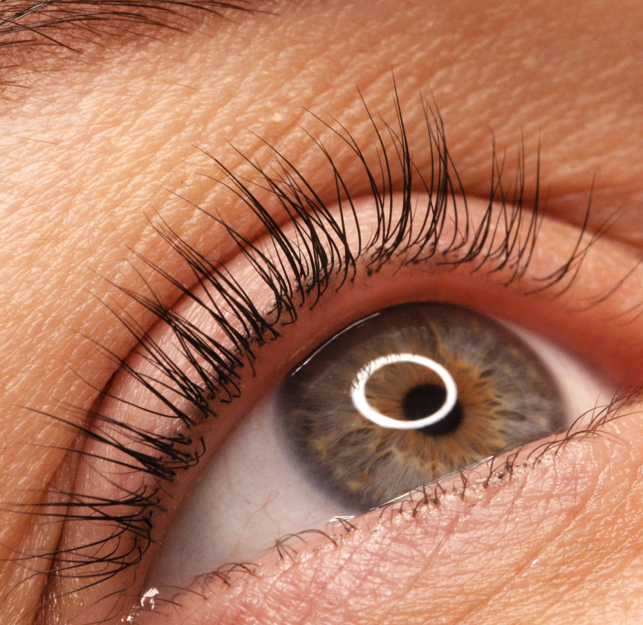 •Vopsirea genelor   Окрашивание ресниц