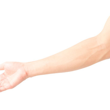 Руки до локтя включая кисти