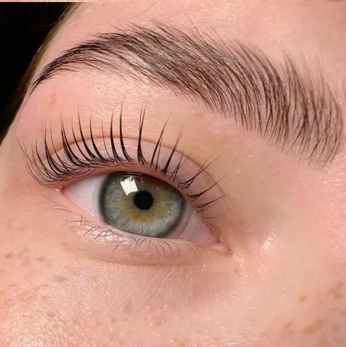 Вельвет ресниц + BOTOX 6D (без домашнего ухода)