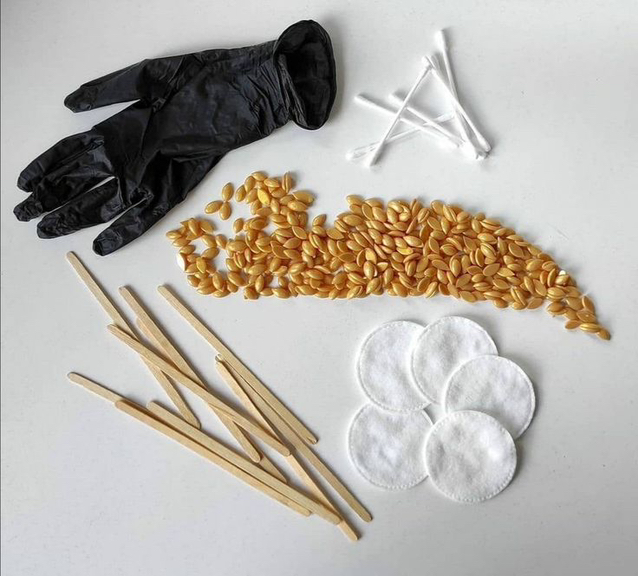 Бикини классика