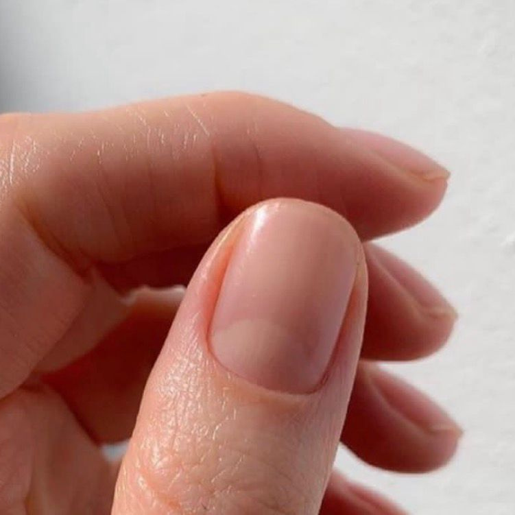 Маникюр + обычный лак