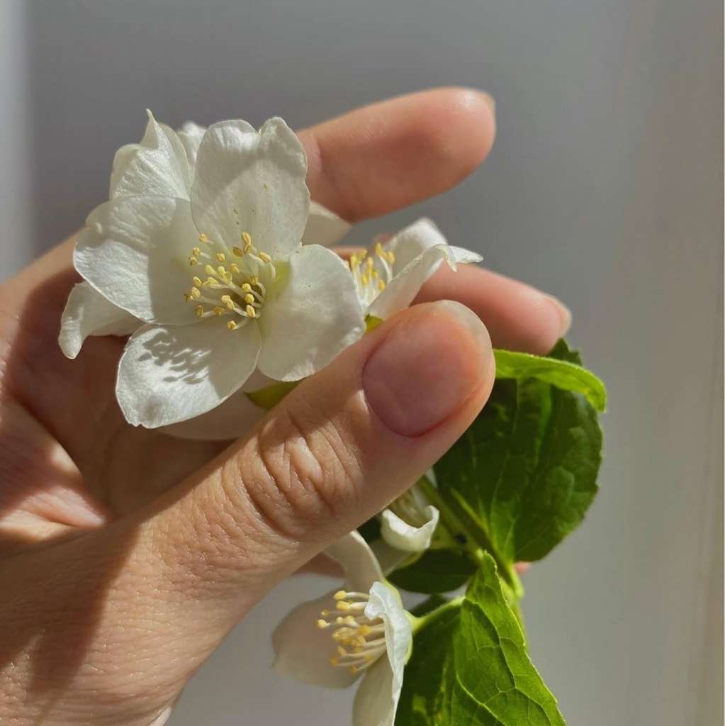 Снятие без покрытия