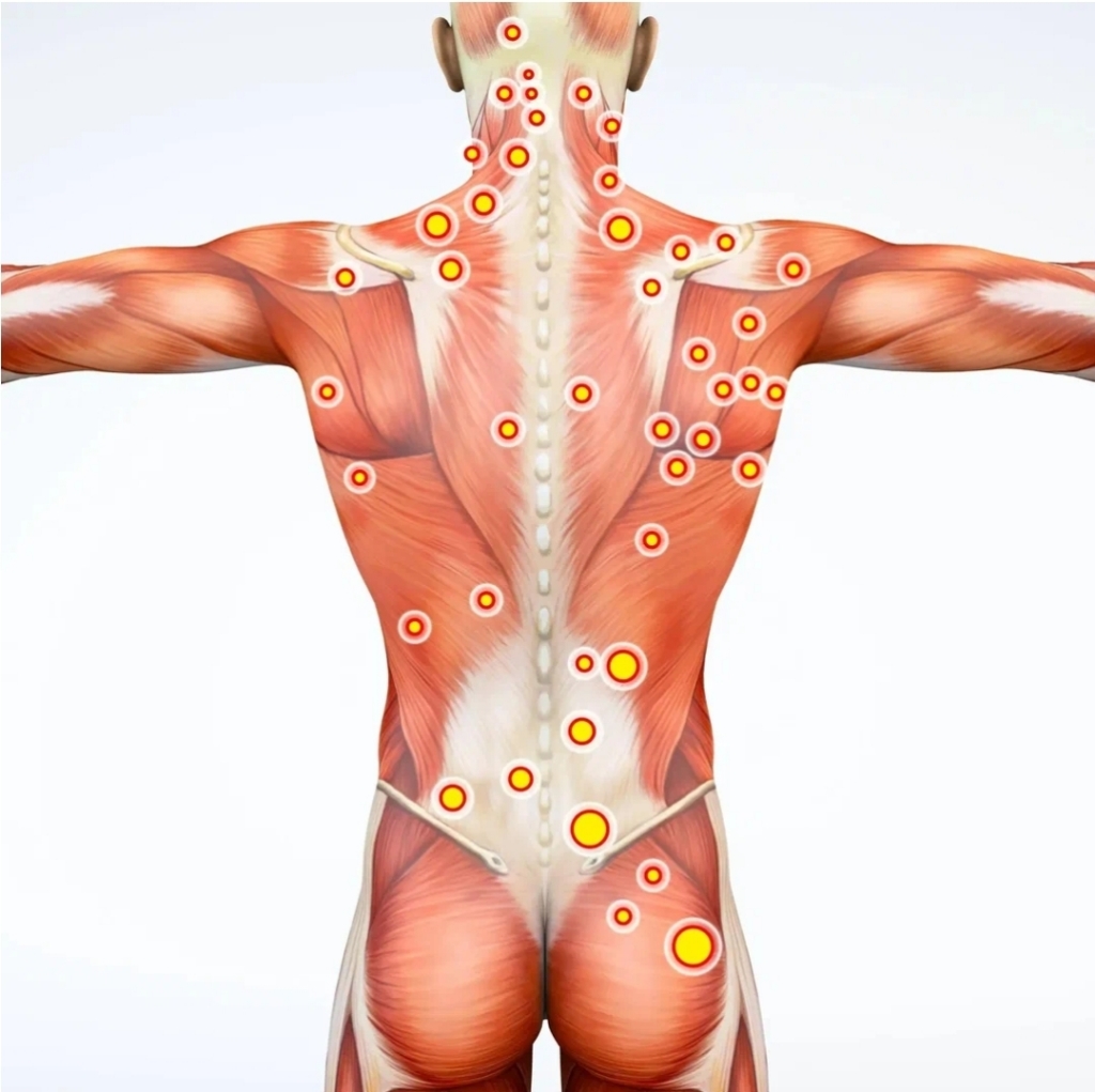 Миофасциальный массаж/коррекция тела