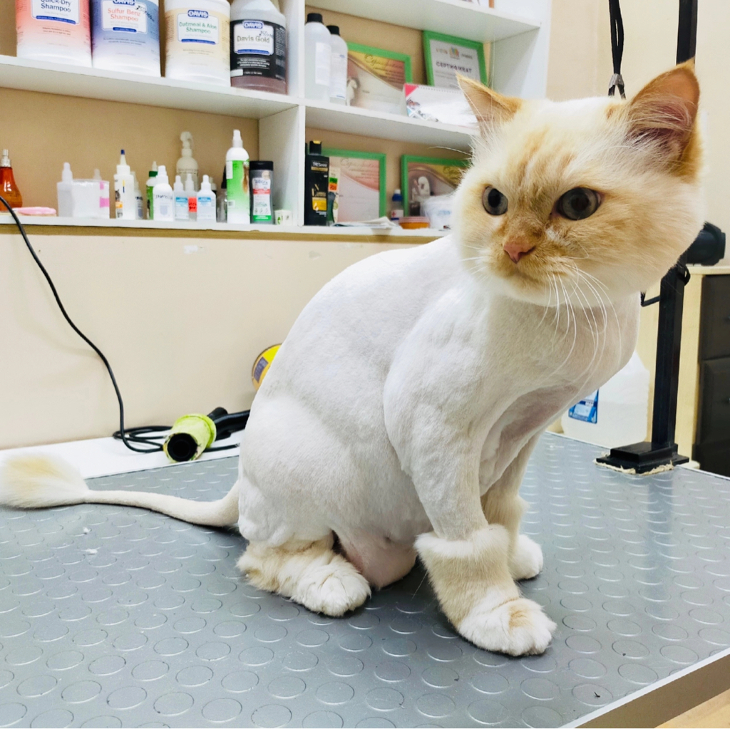 Стрижка мурзиков