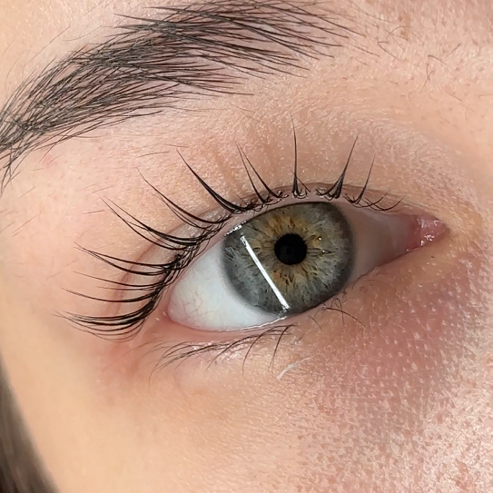 Лами ресниц