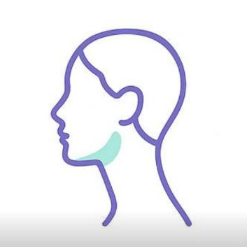 Подбородок