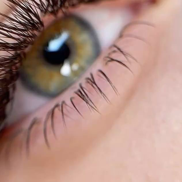 Нижние ресницы