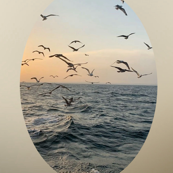 УМНЫЕ РЕСНИЦЫ