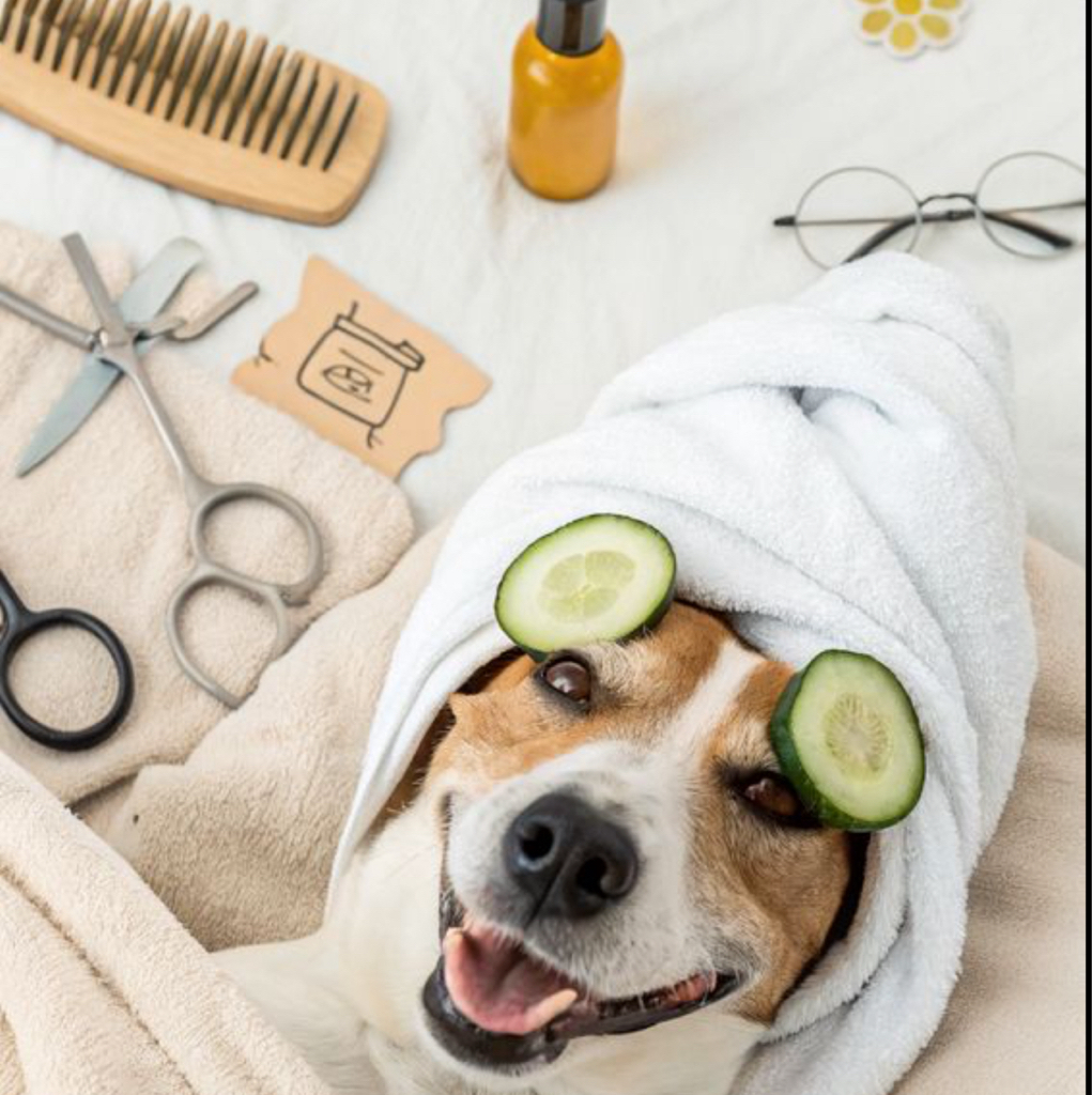 ШПИЦ-КОМПЛЕКС+когти+стрижка+чистка ушей/глаз