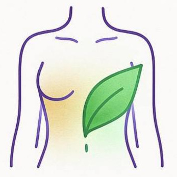 Живот фитосмола/молочный шугаринг