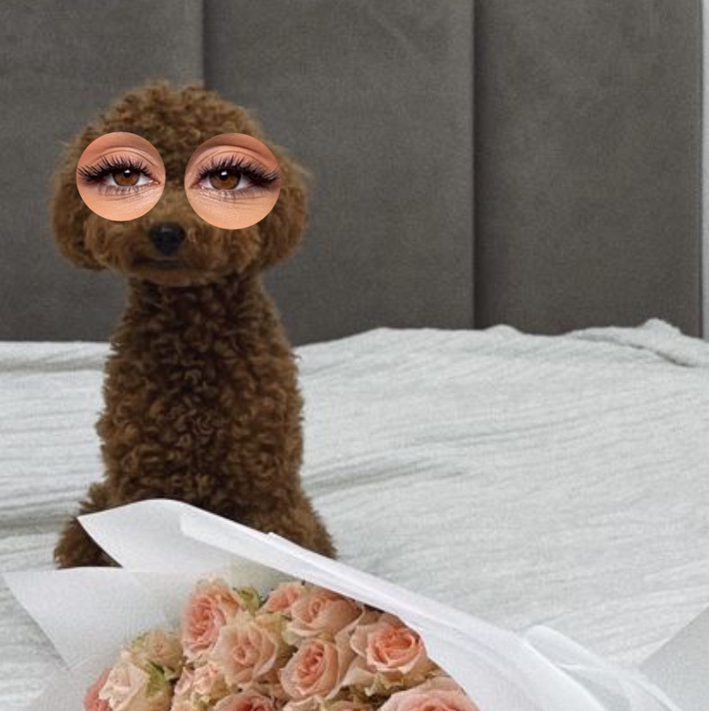 Эффект подводки / Эффект стрелки / Лучи / Цветные ресницы