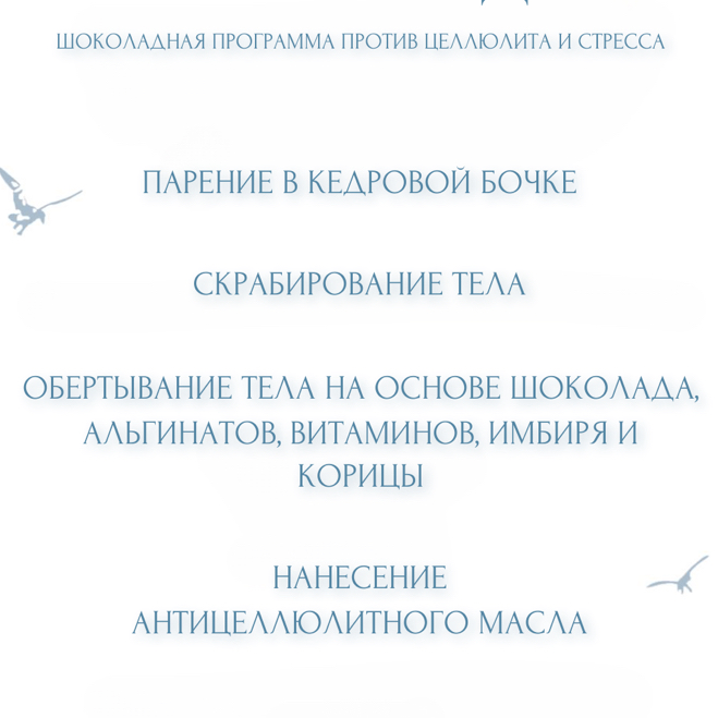 СПА программа против целлюлита и стресса-шоколад