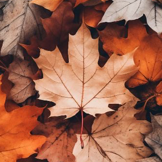 Акция до конца НОЯБРЯ, ламинирование ресниц