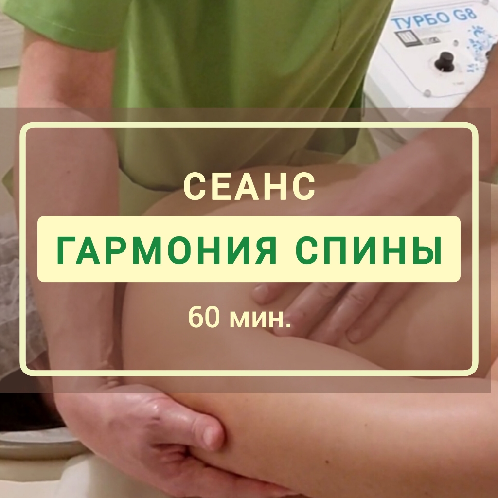 Гармония спины ж 60