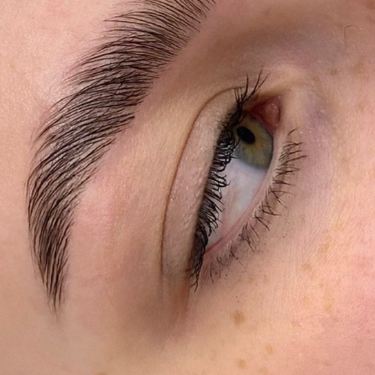 Долговременная укладка бровей (без окрашивания)