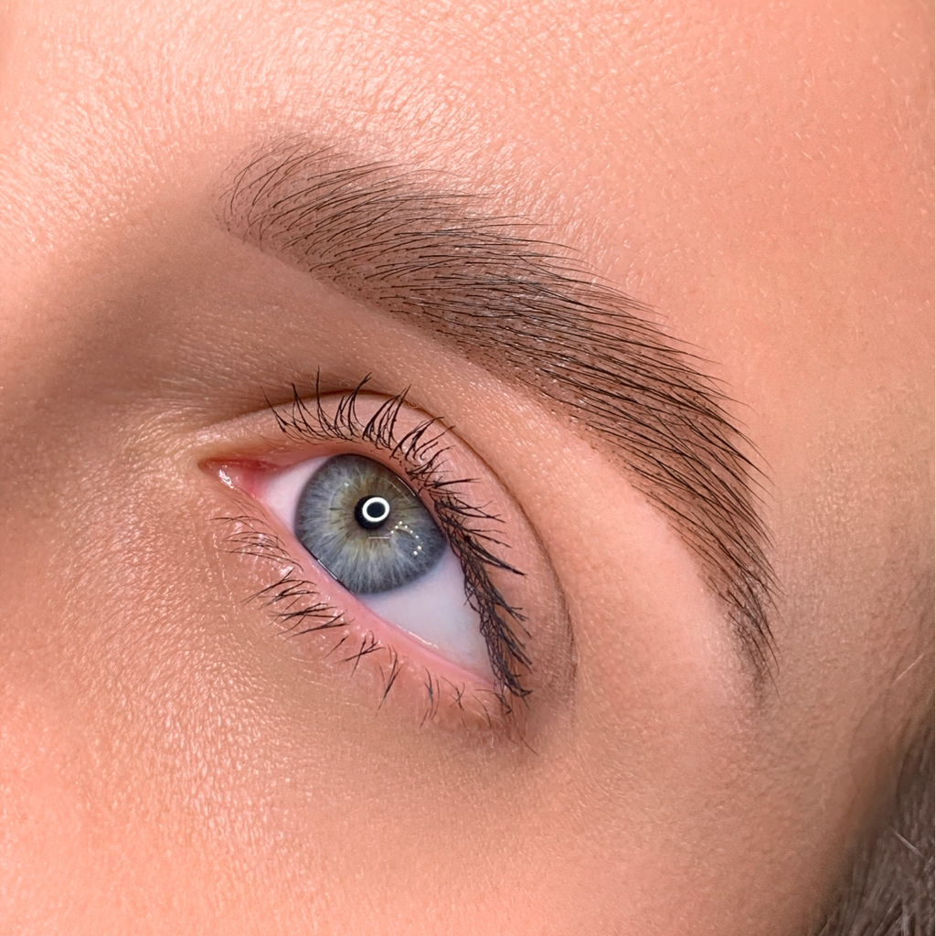 Коррекция + окрашивание бровей | КРАСКОЙ ИЛИ ХНОЙ