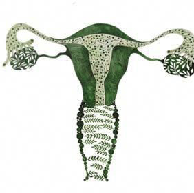 Остеопатический массаж
Тело и Лицо