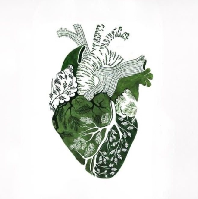 Остеопатический массаж
Тело и Лицо