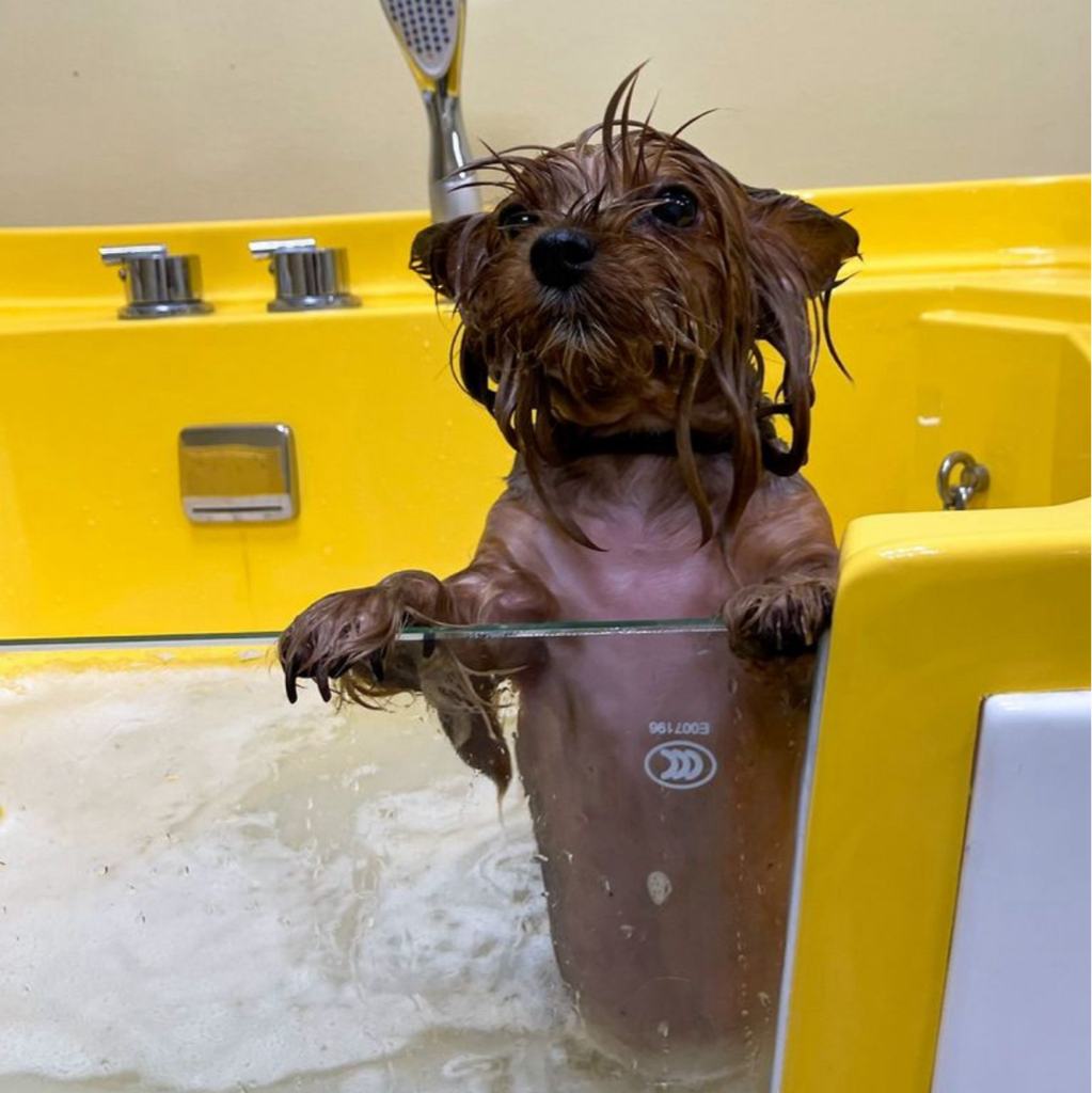 Озоновая ванна+маска Iv San Bernard