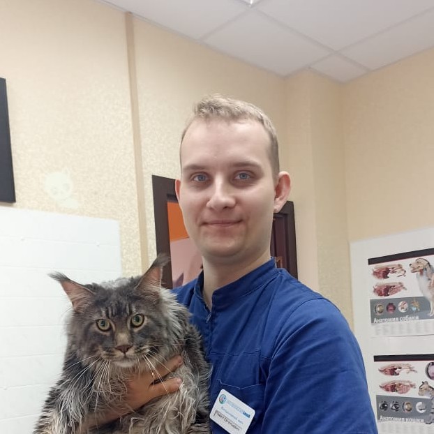 Михайлов Павел Евгеньевич