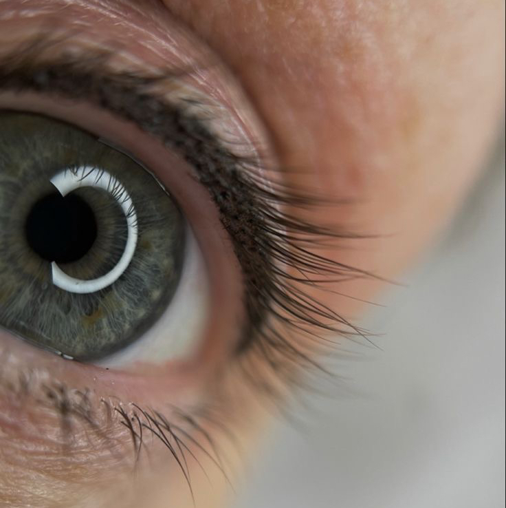 Обновление перманентного макияжа межреснички