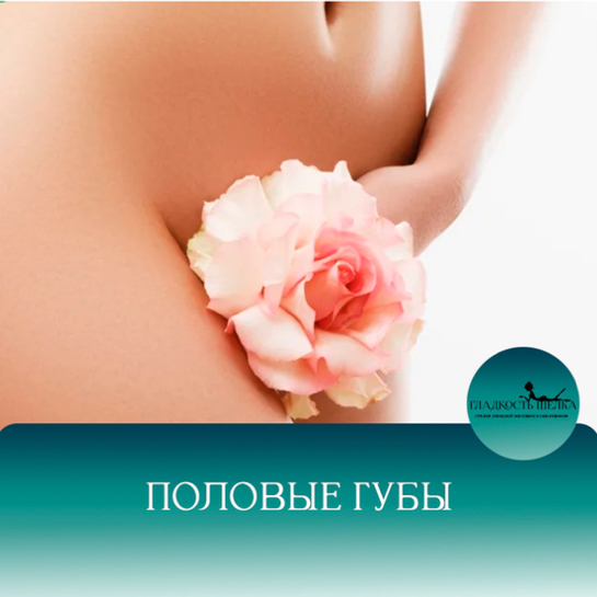 ЛЭ Половые губы