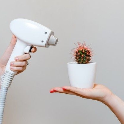 ЛЭ Спина полностью