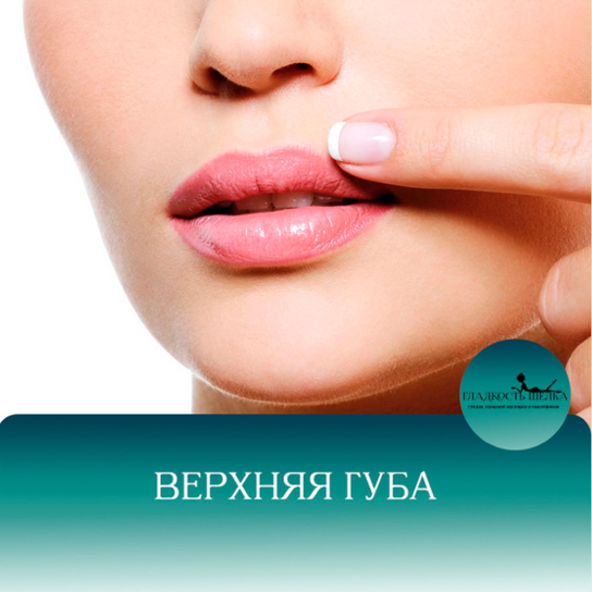 ЛЭ верхняя губа