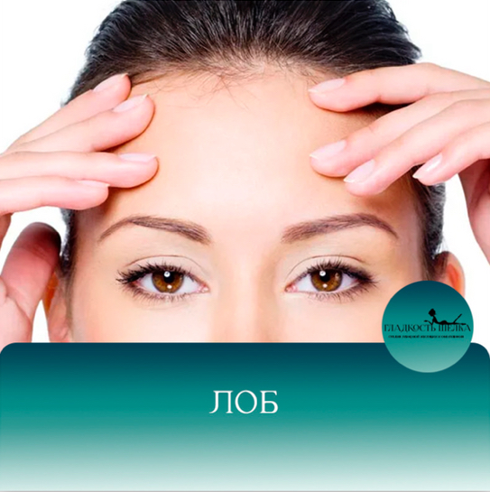 ЛЭ лоб