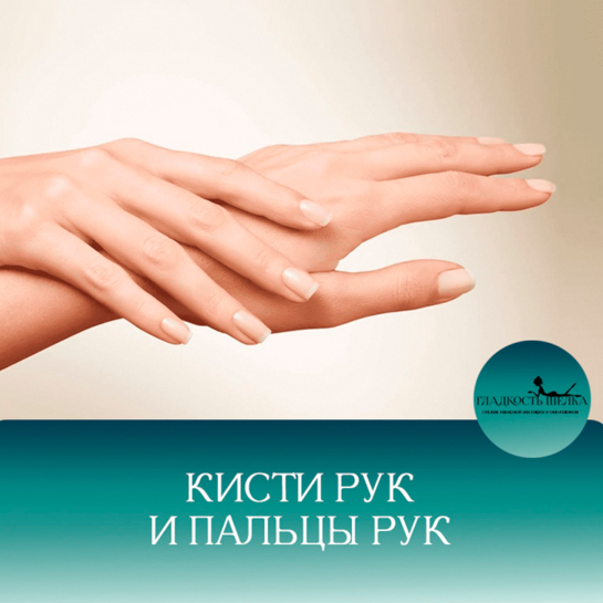 Кисти рук и пальцы (доп.зона к комбо)