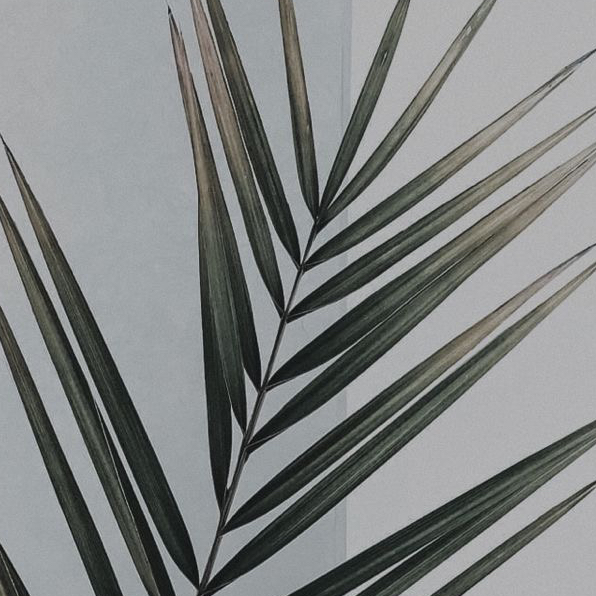 Полное снятие+маникюр+восстановление герметиком