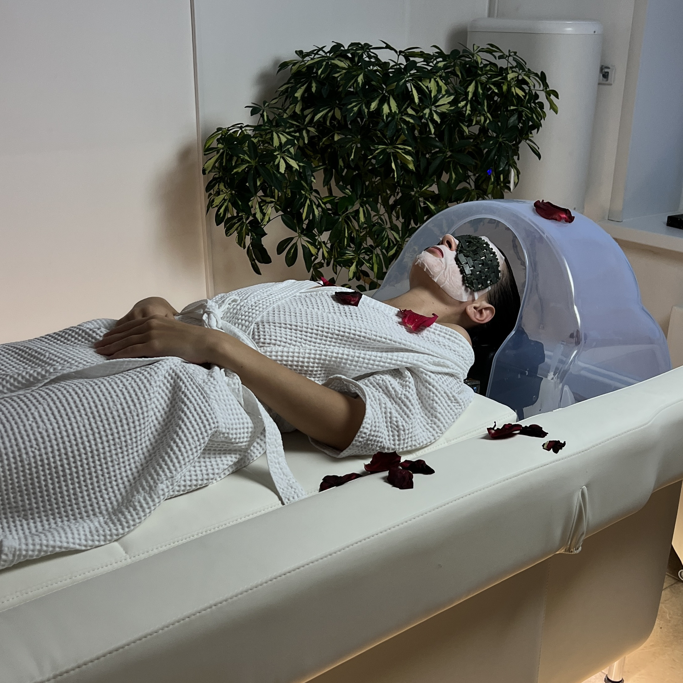 «Гармония тела и лица» (SPA)