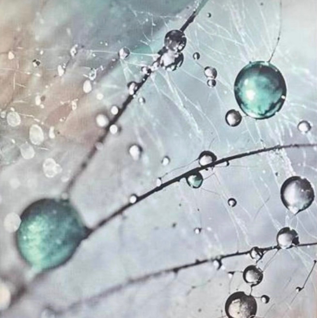 Первичная консультация