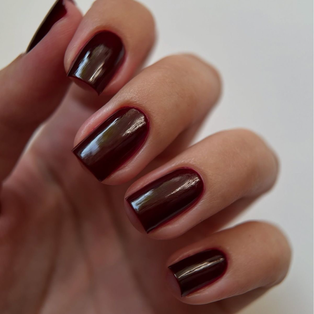 Маникюр с покрытием обычным лаком❤️