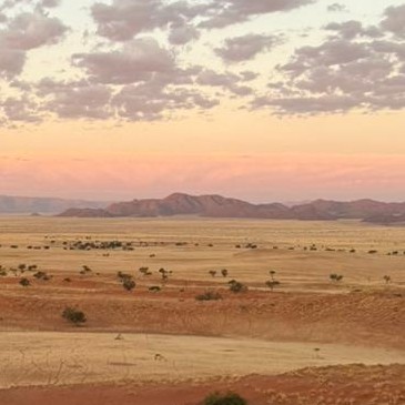 Педикюр 
Обработка пальцев без покрытия