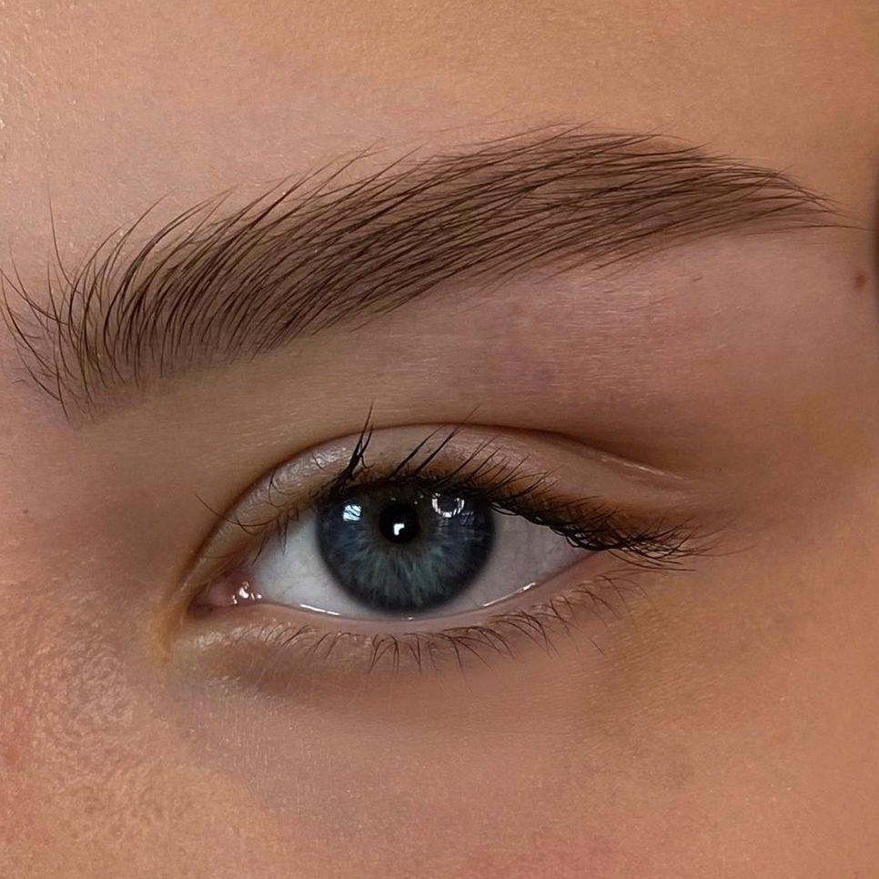 SET 4: Коррекция бровей с окрашиванием + пушковый волос над губой