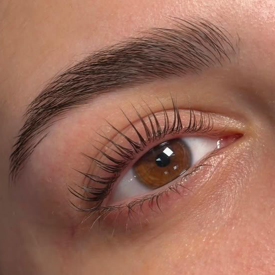 SET 3: Ламинирование ресниц с коррекцией и окрашиванием бровей