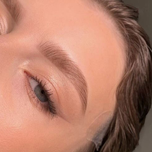 Окрашивание бровей (без коррекции)