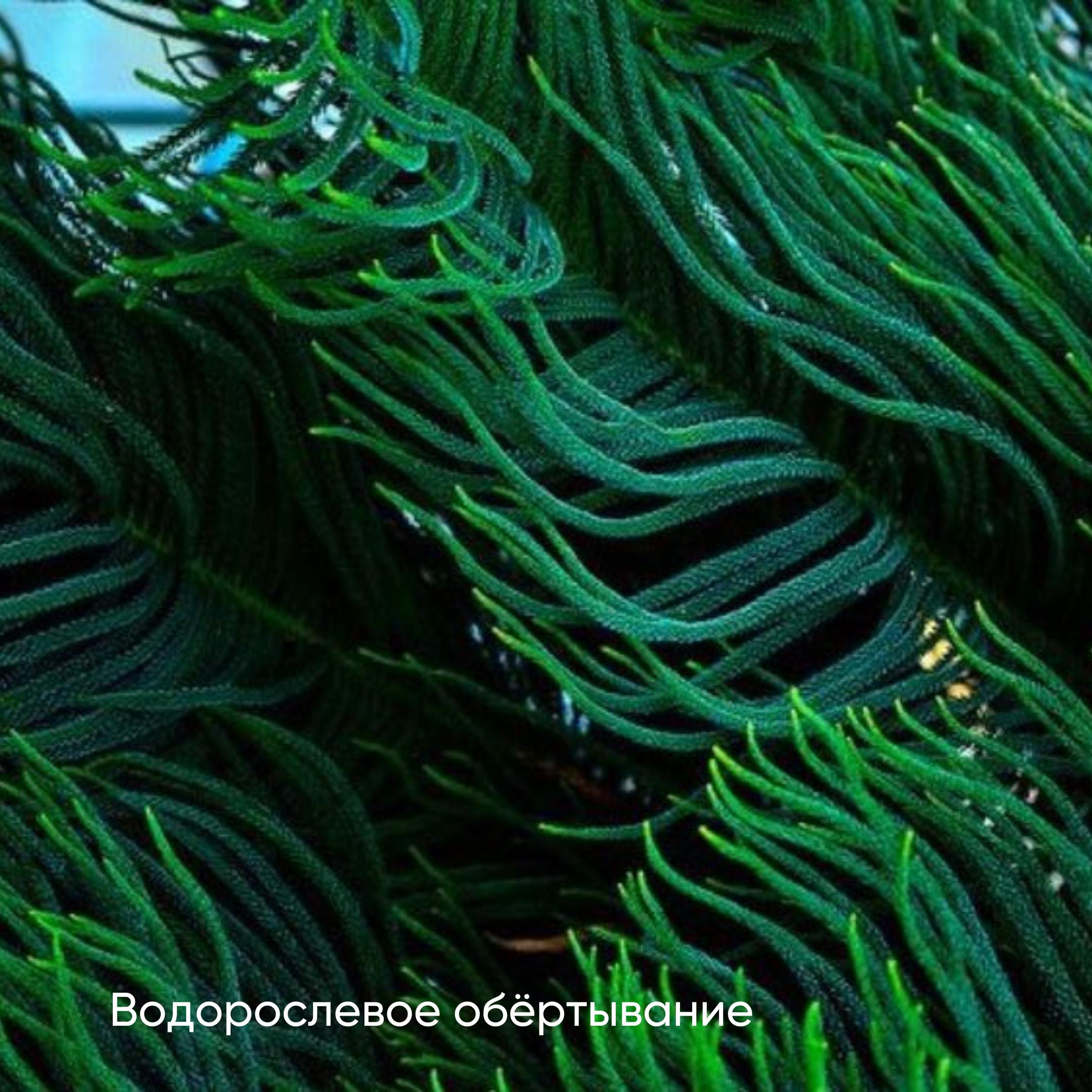 Обертывание Ламинария (45 мин)