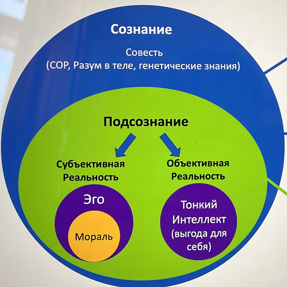 Коучинг «Гармоничные отношения» групповая программа