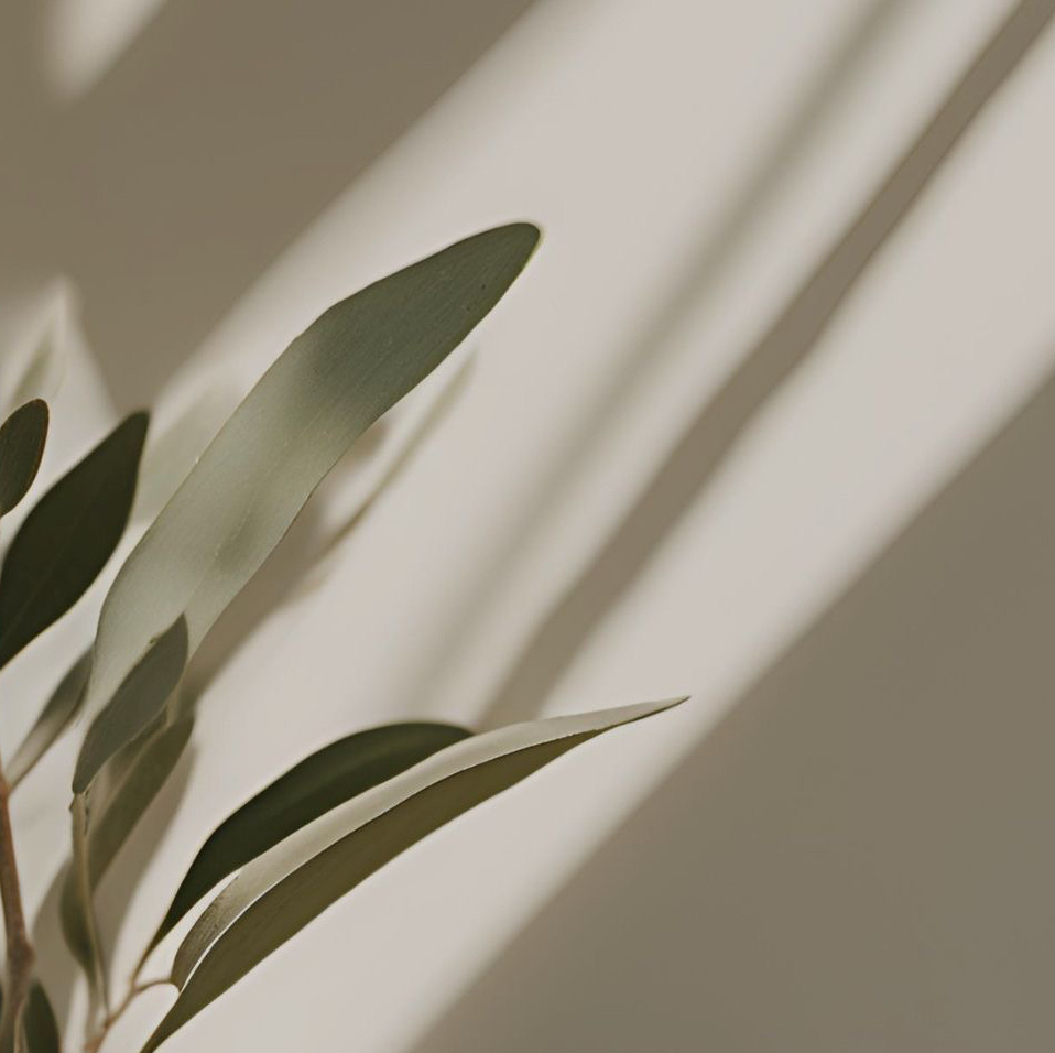 Детский общий массаж 60 мин (с 5 лет)