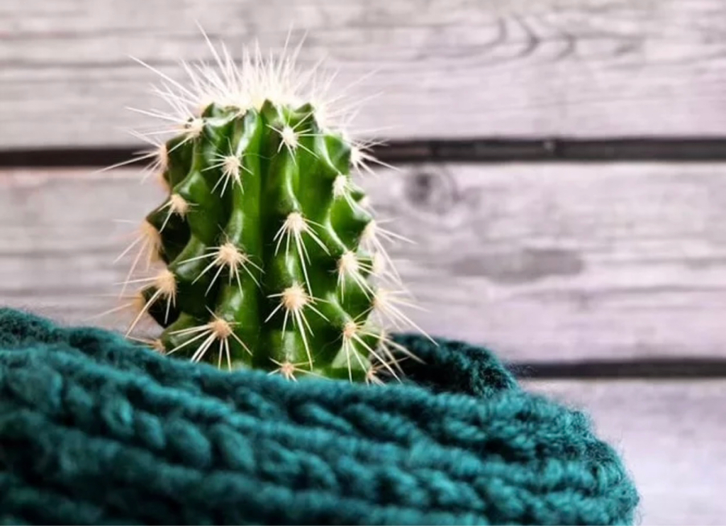 Электроэпиляция тело/лицо