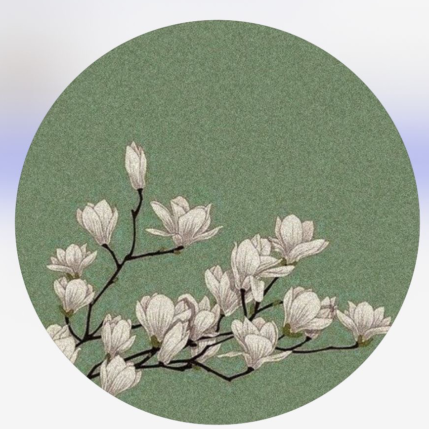 Авторский четырёхчасовой сеанс Тело | Лицо | Внутренние органы