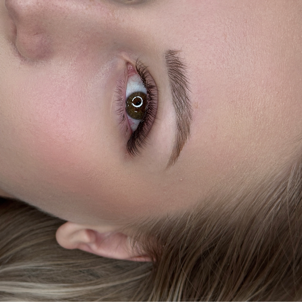 Коричневые ресницы, Изгибы L, M